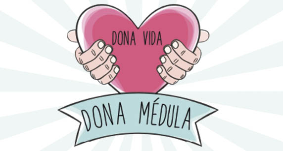 medula