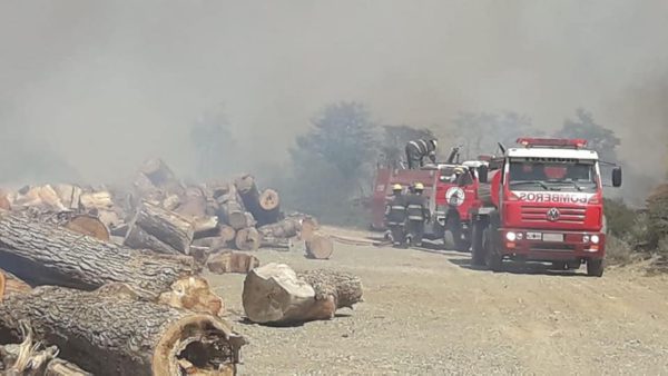 WhatsApp-Image-2019-11-23-at-3.52.33-PM-e1574535962307