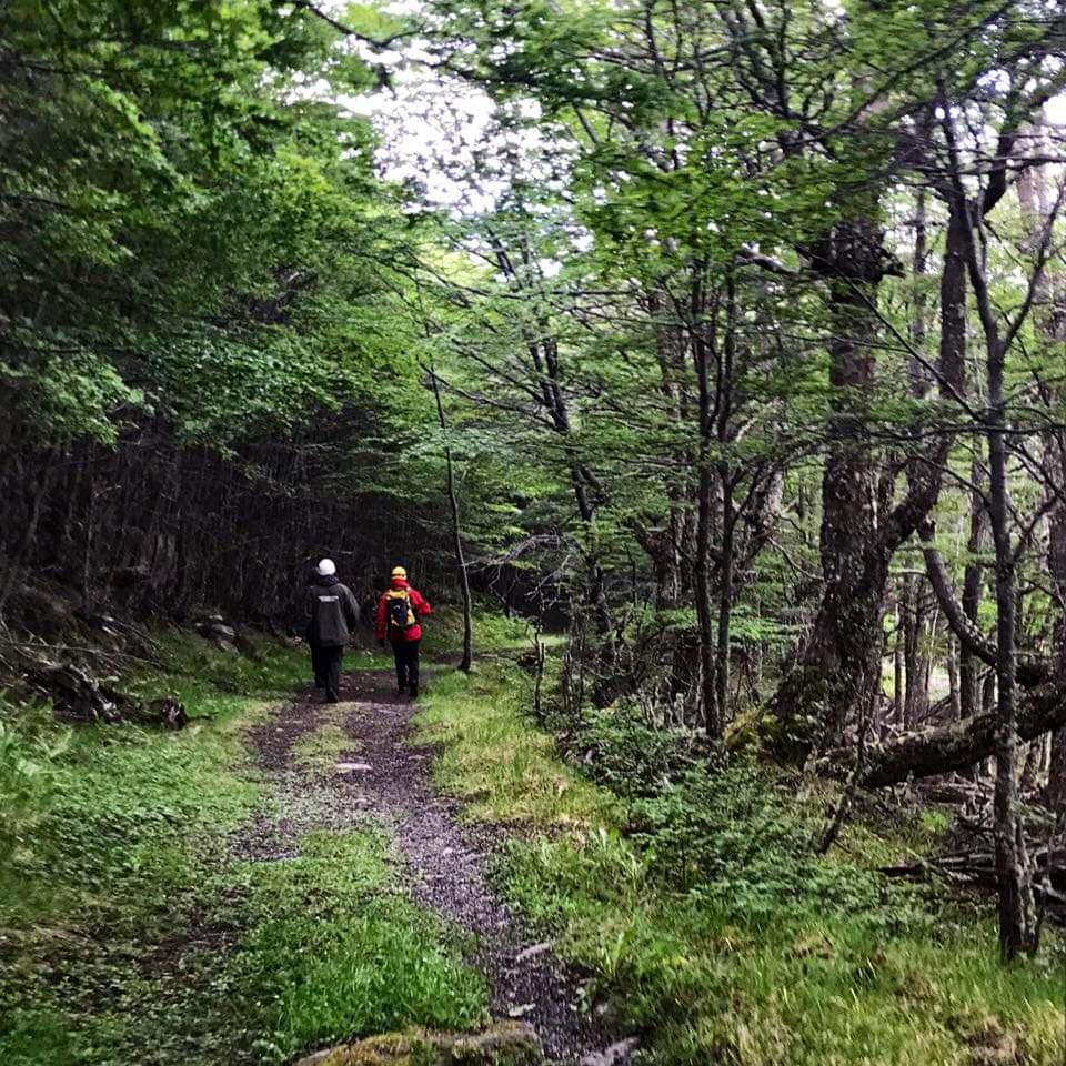 FB_IMG_1606549401665