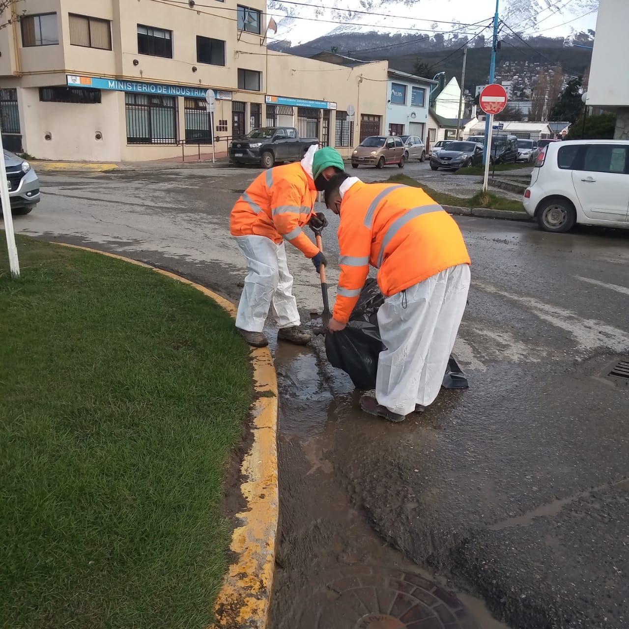 5f877cd3f5f5bcd54d8687fb