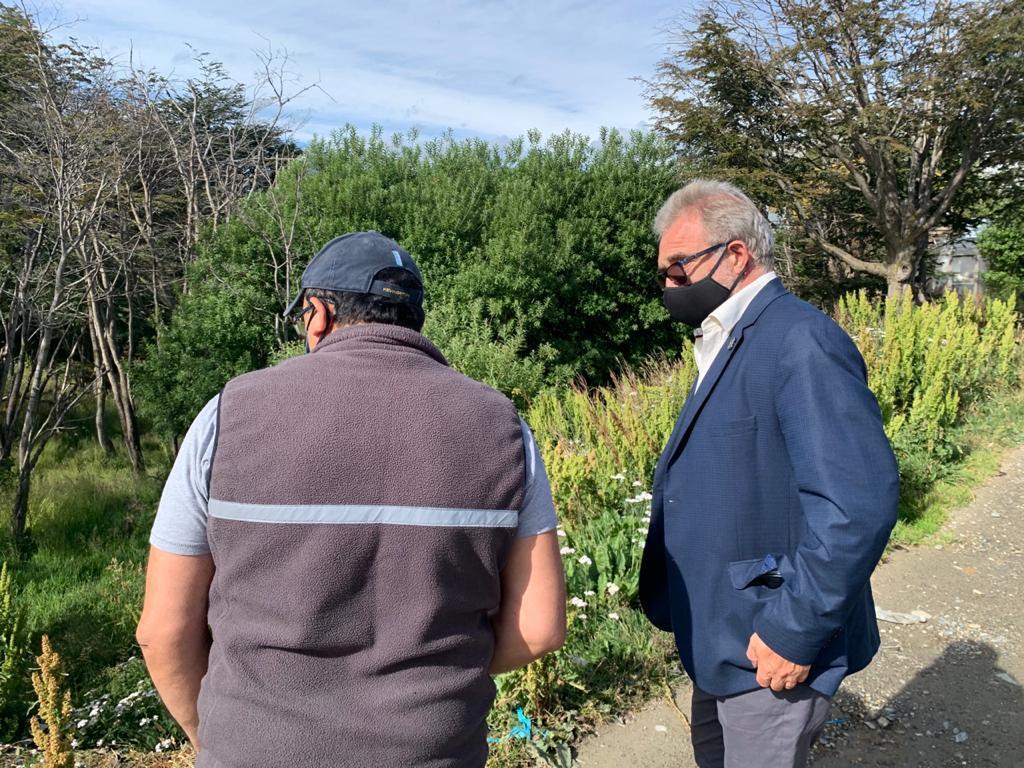 600a0e3f93f5b5141a256d77