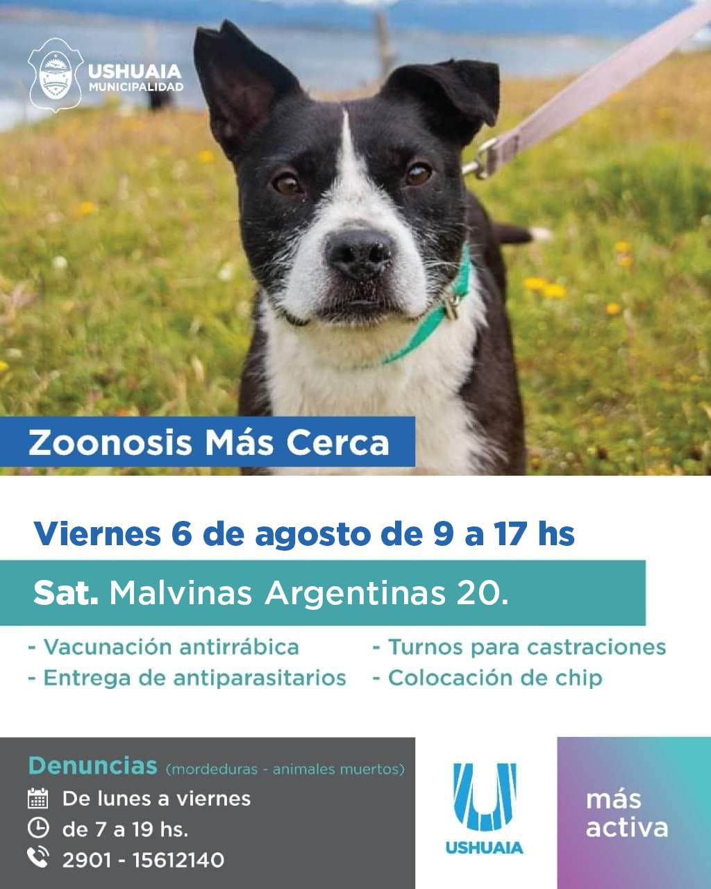 zoosis