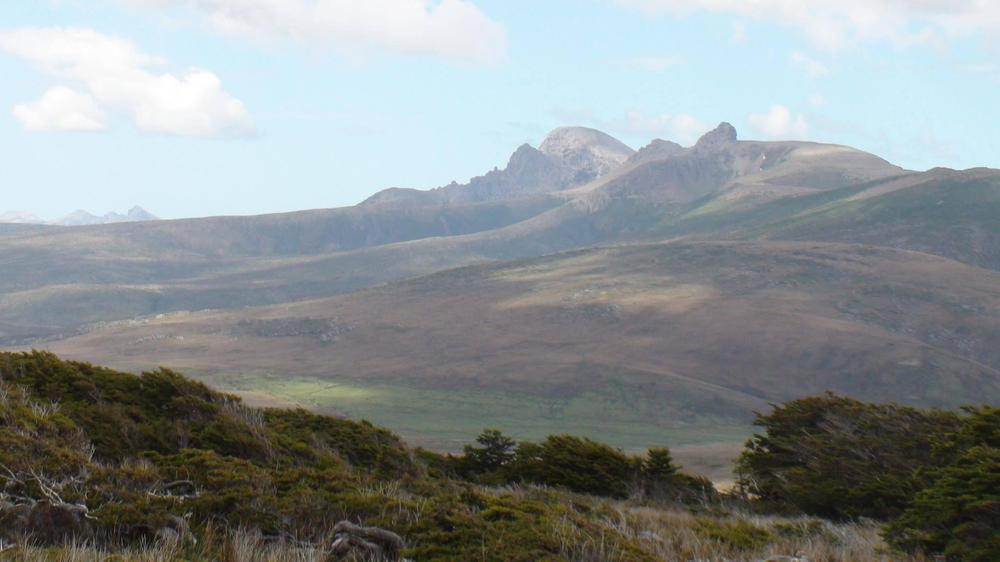 E4CA01B6-4EAE-4C8F-8766-A10775B4E4D6