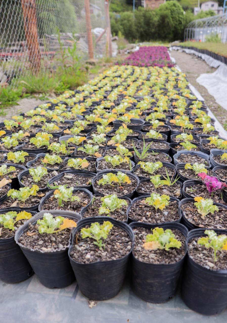 5ff5ef6ea8bb760a4e2bfd3f