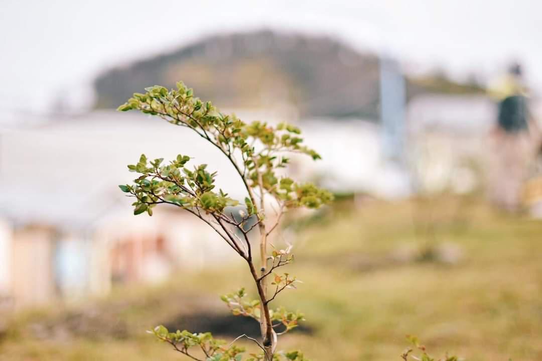 FB_IMG_1628799955246