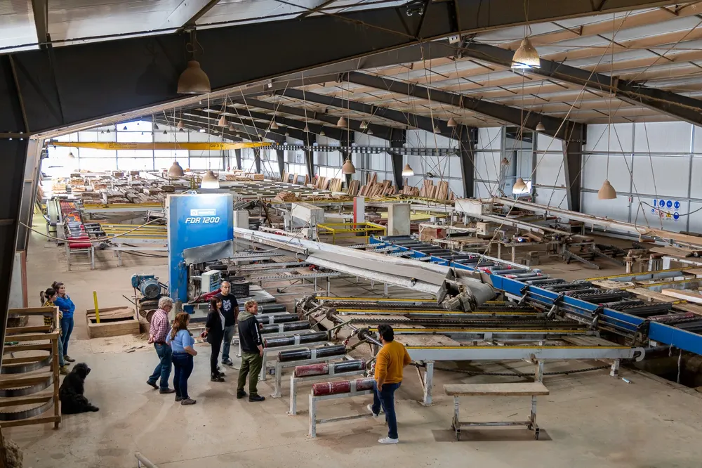 0d727fde-a7db-4c3e-b7f2-60a6e9efd82b