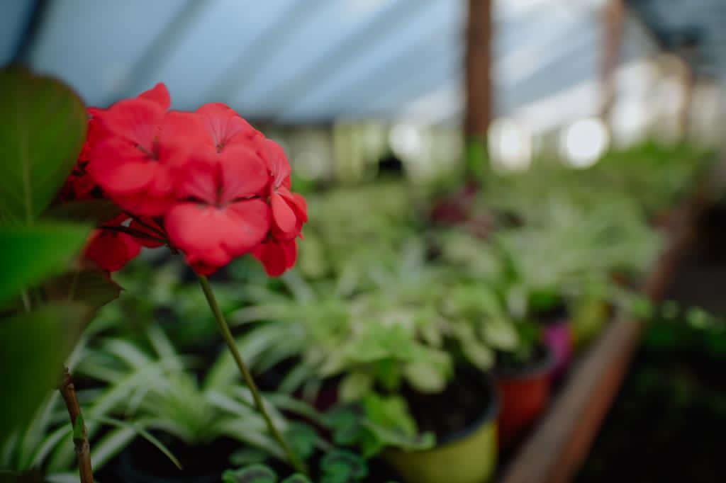 6047bc4b7af448235fe18250