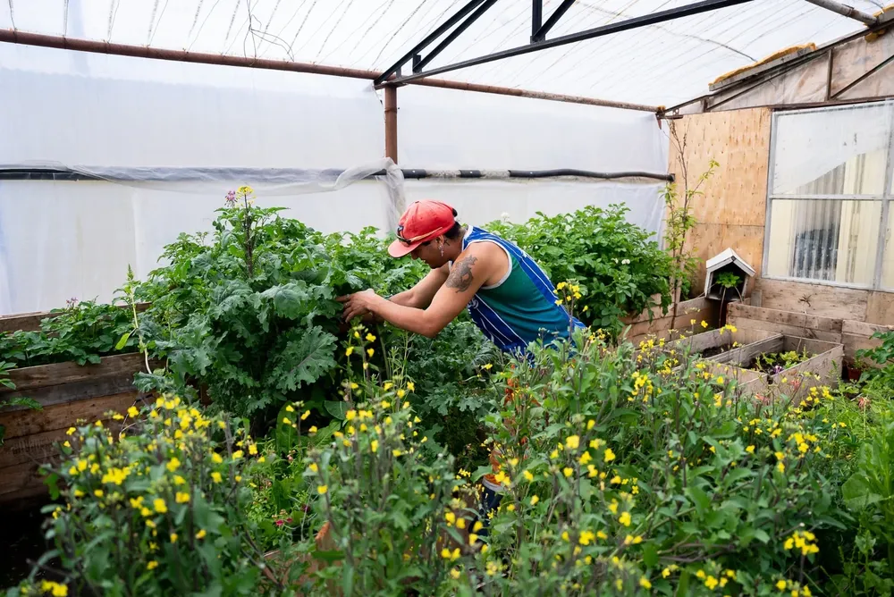 ec536a8e-af29-42c2-b218-54a9d257b37d