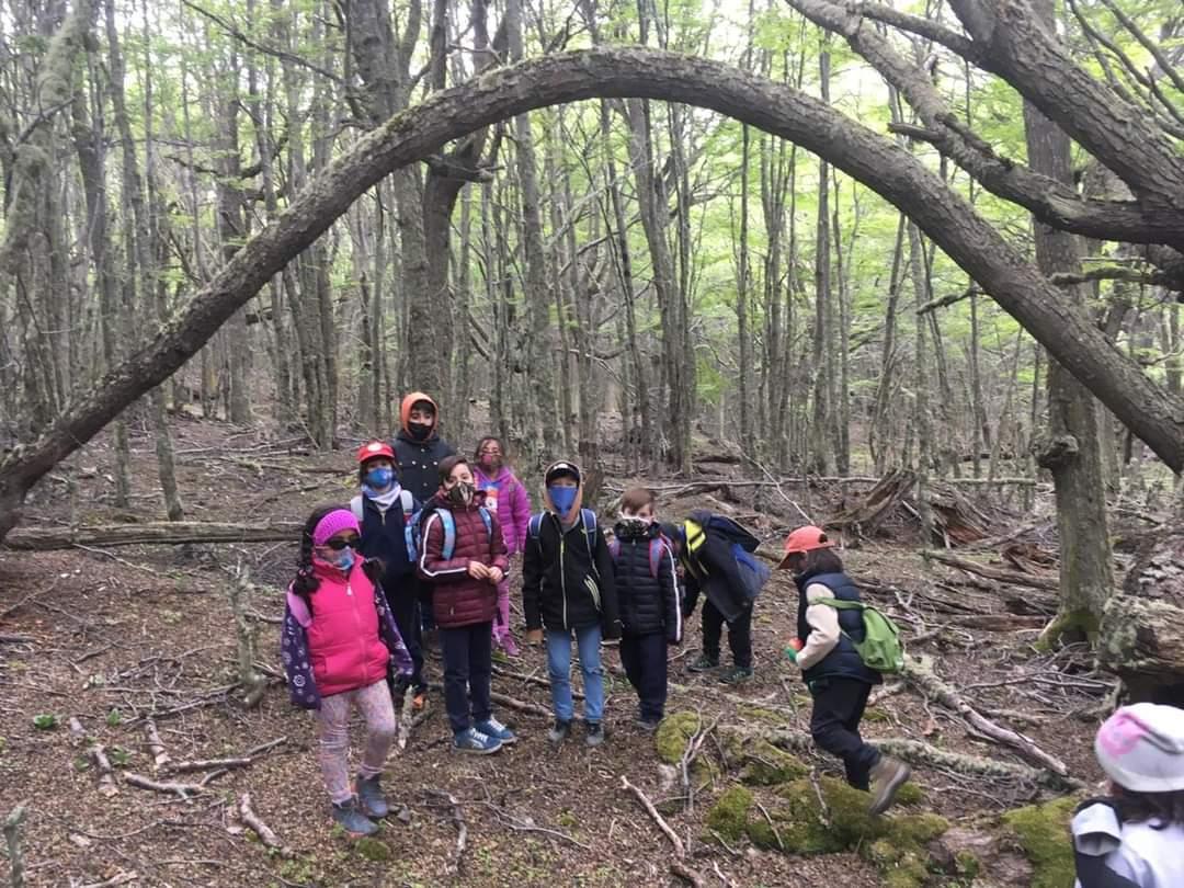 5fab40d35d52addb7a644742