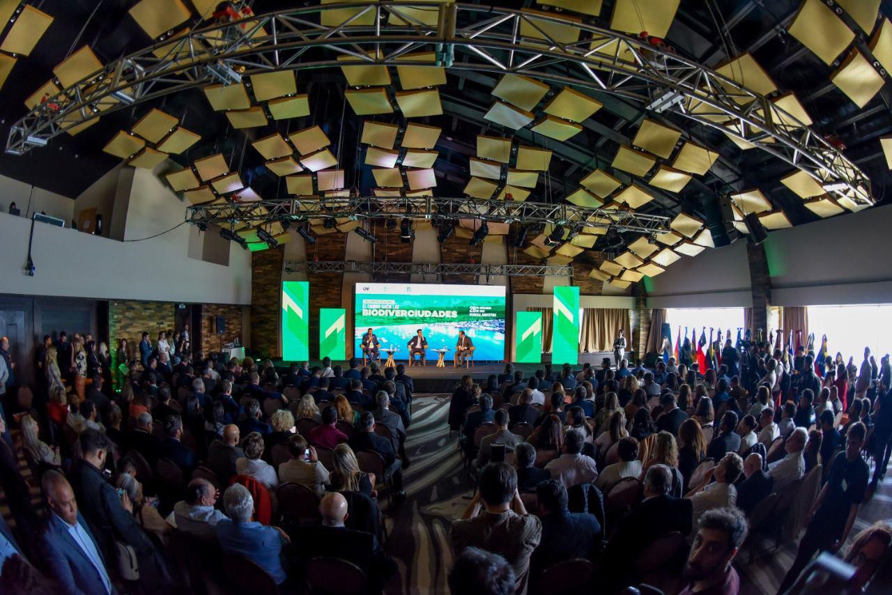 photo_4913725938957658977_y