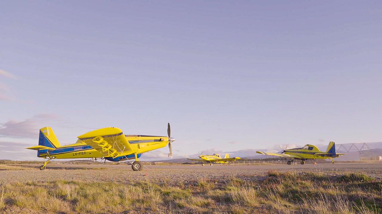 FE31961B-F181-4E07-AF0A-3948A2096620