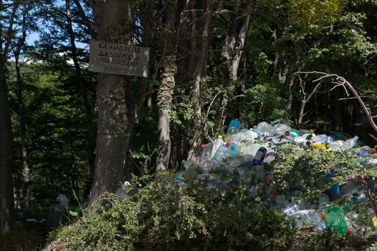 limpieza de espacios públicos 3