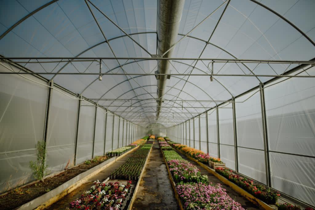 6047bc3b883cb59a1259492e