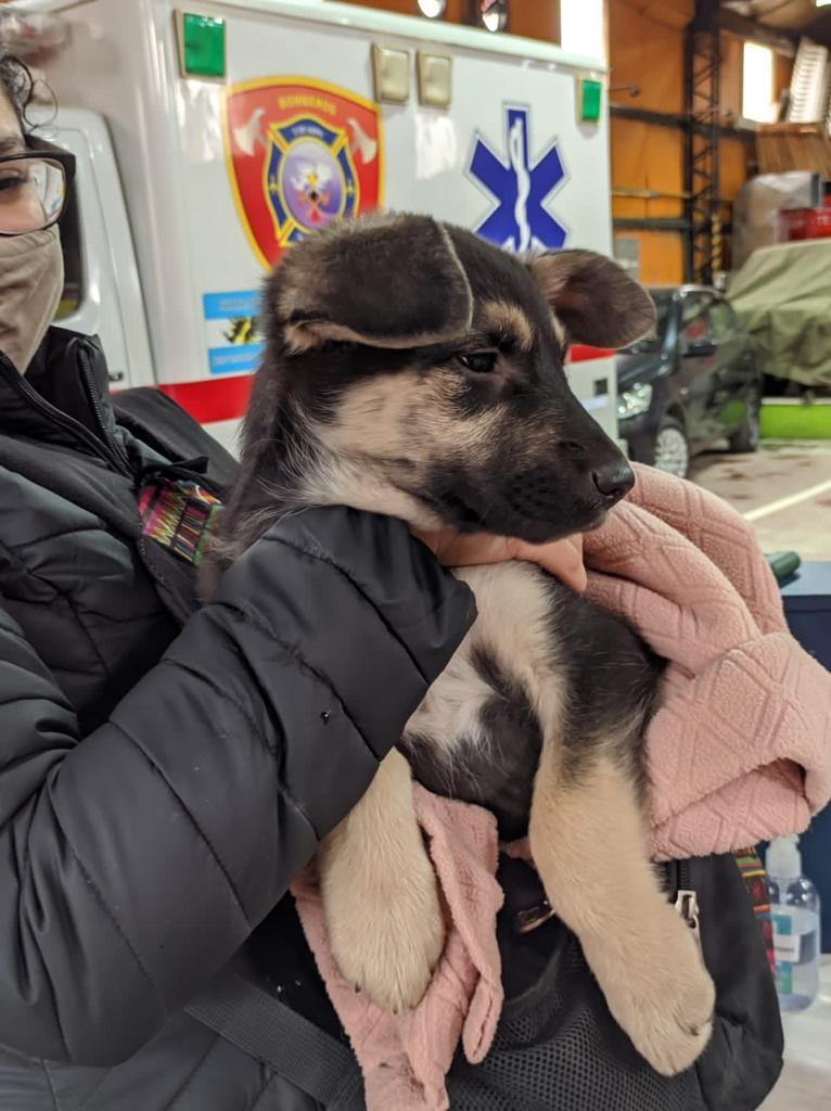 613beb1ab73ac2bc42a77f9c