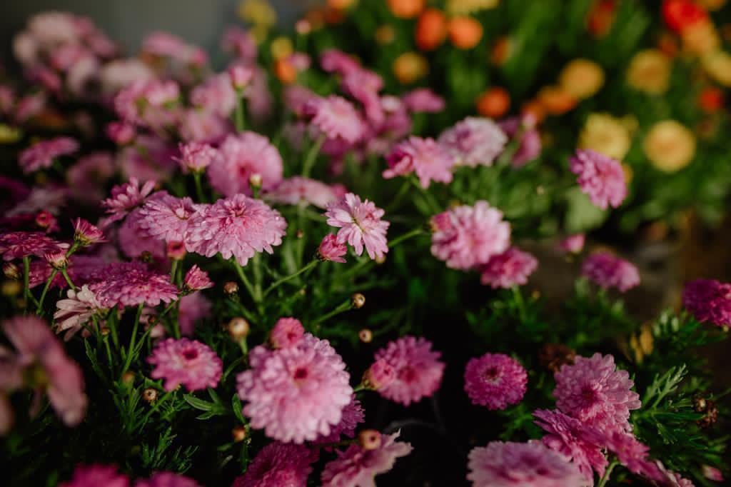 6047bc9764ceda010d0c1823