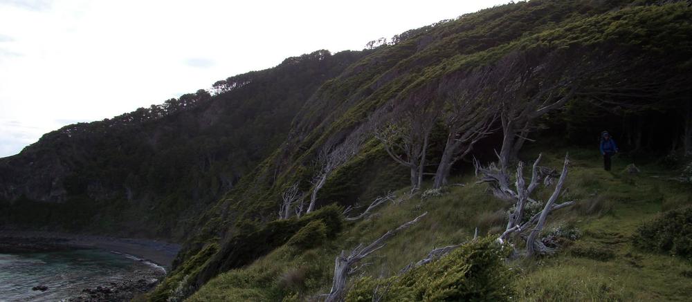 651F3922-7DA4-4F58-9983-FCFDD7760940