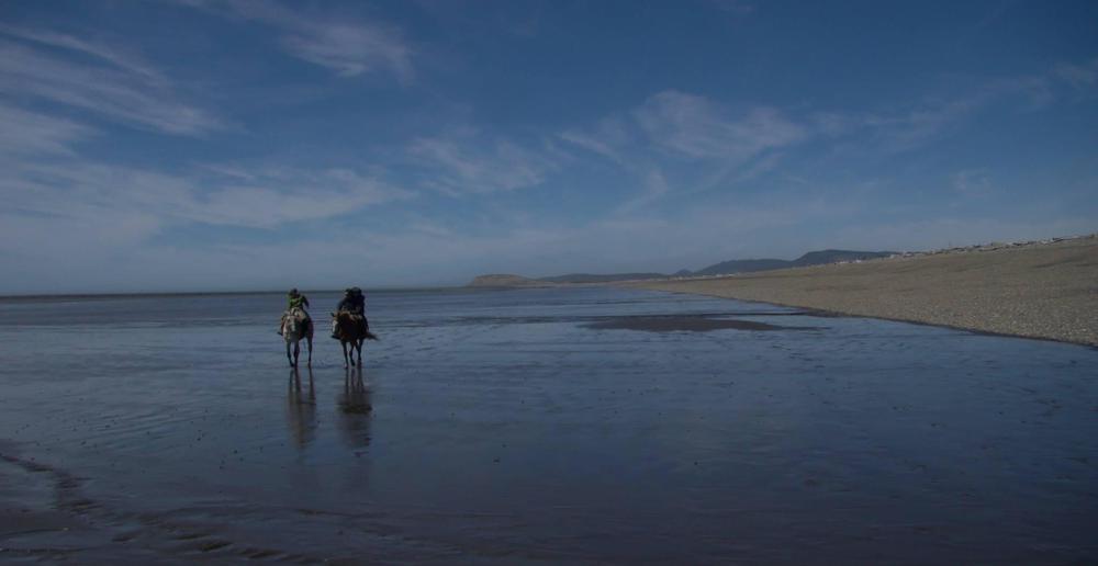 D58F9D5A-8313-4229-9349-762447B9C6F3