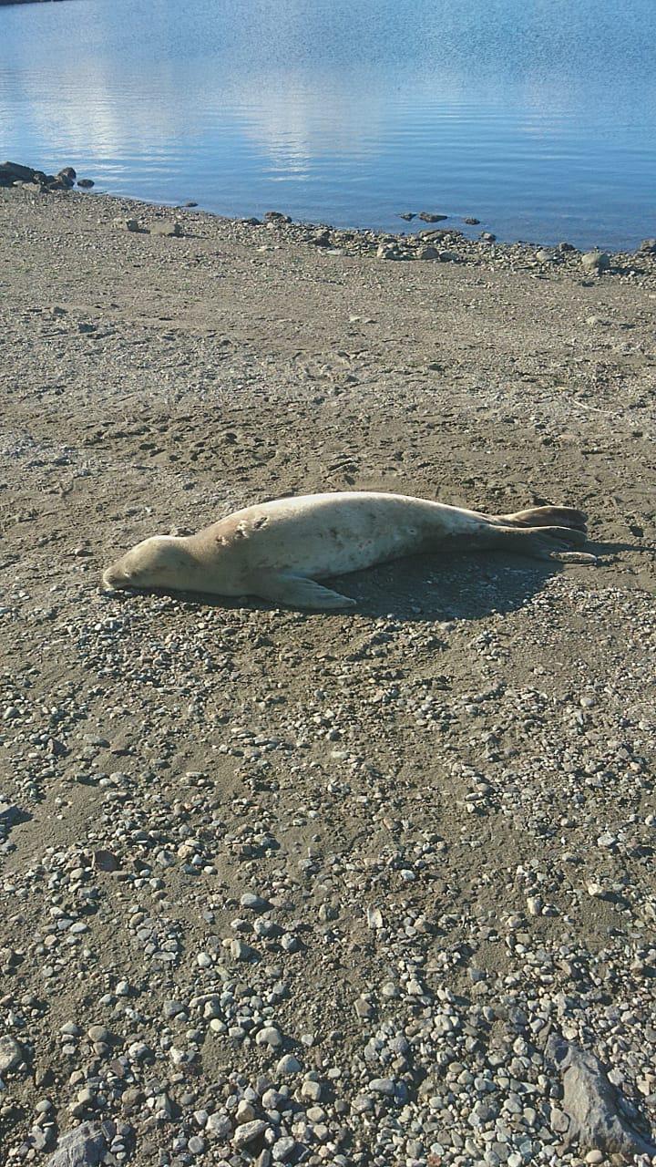 d607b049-fa92-41ef-a1f5-7dc7ce5273a8