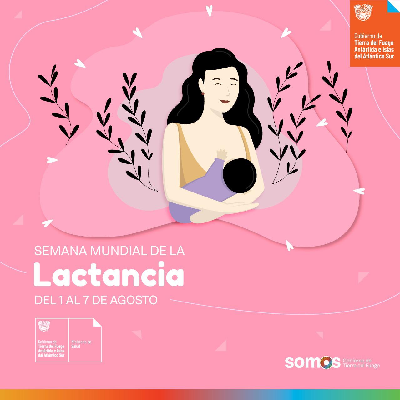 lact 1