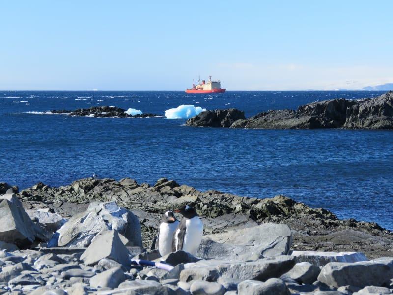 IMG-20210305-WA0186