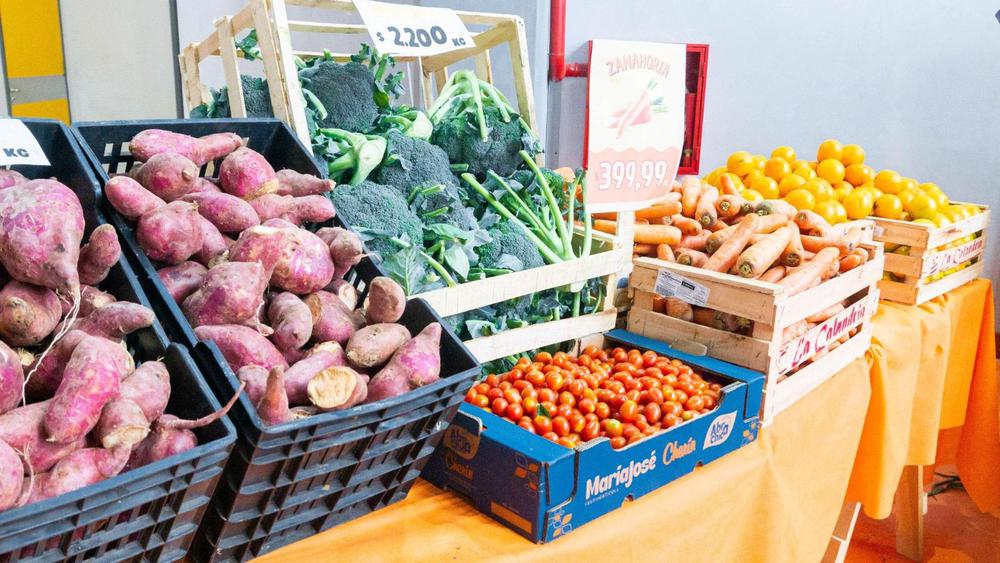 b7fa2625-523b-4e23-b0bb-f40498a27be9