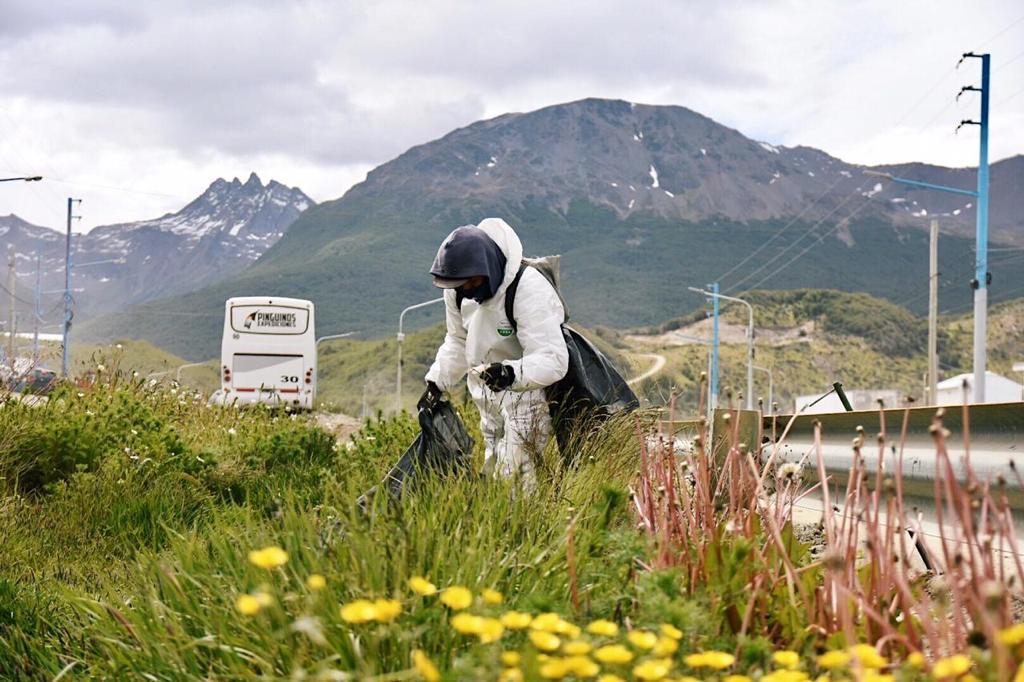 5fe0ff62590d46df48c377fe