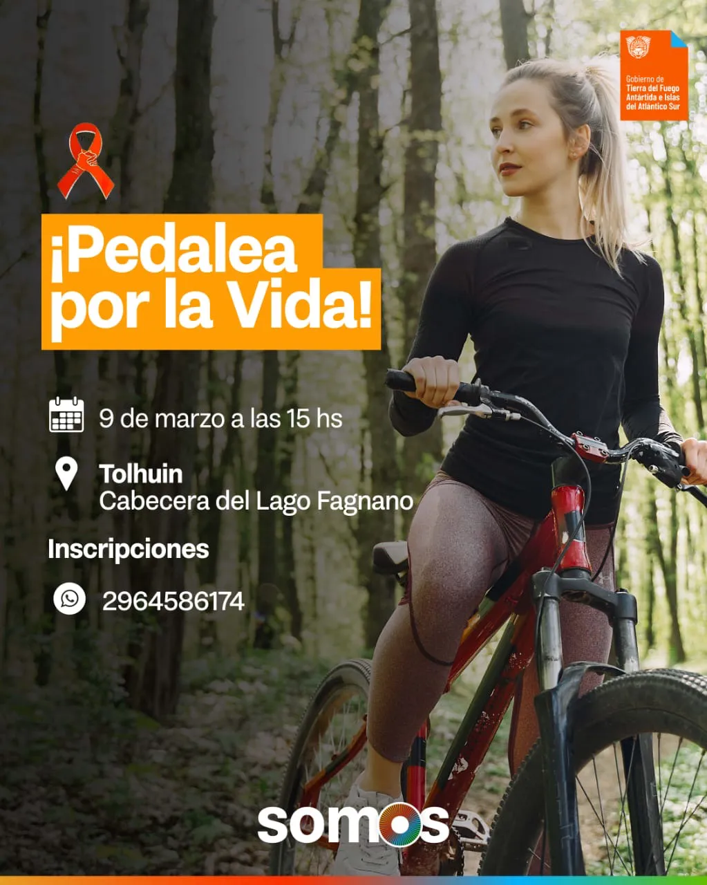 aedf7d9c-36ec-4f69-af54-3d2a2362456d