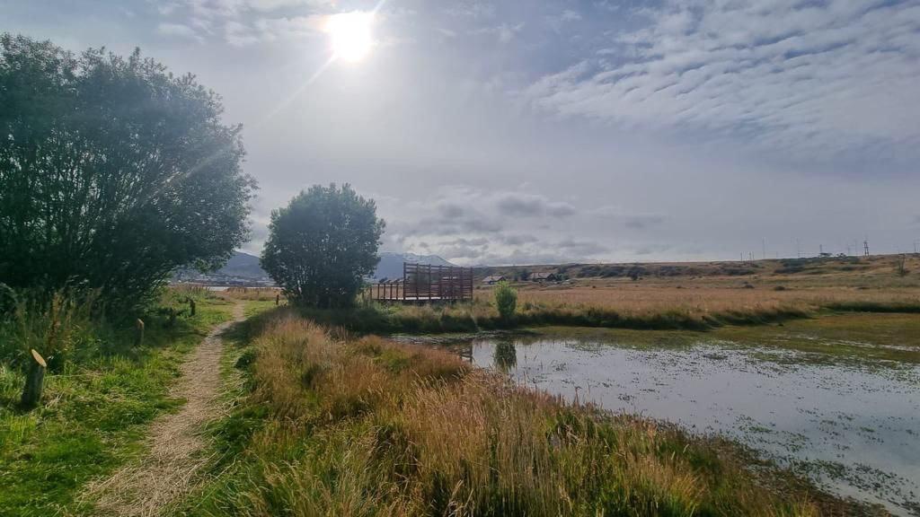 BBCEA7A6-580B-4A1E-8855-ECDAA0C54F57