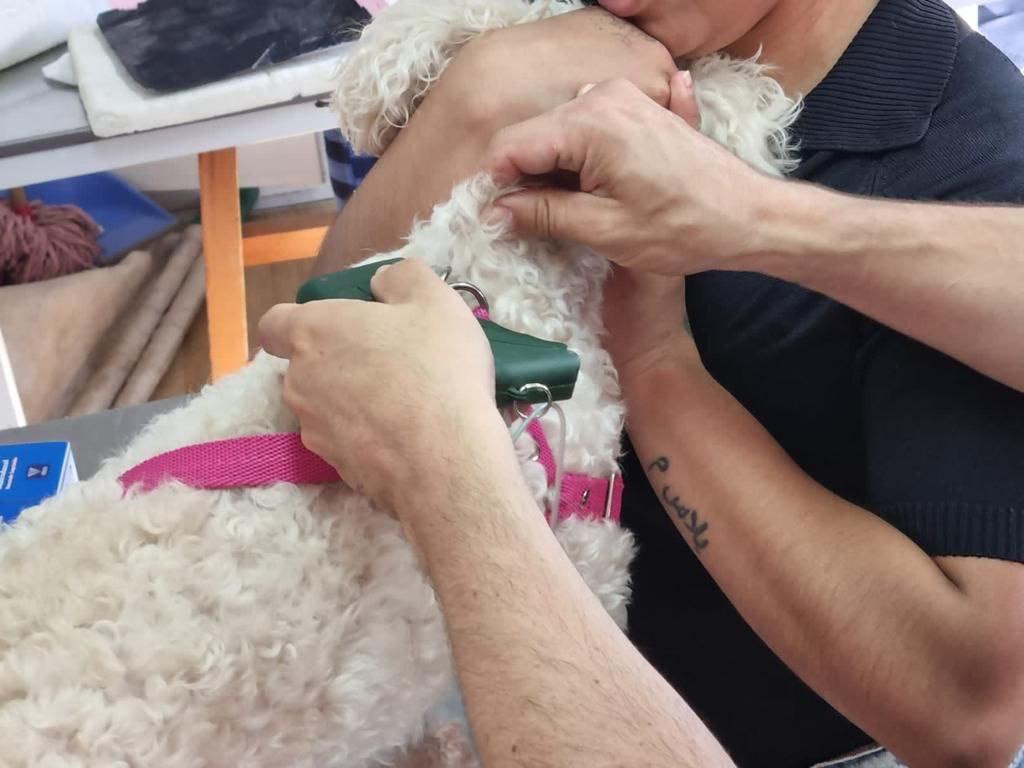 504ADB7E-4C3E-4627-9DAA-E3794EEE2494