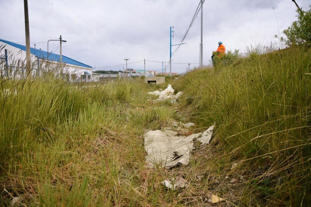 5fe0ff86590d46df48c37804