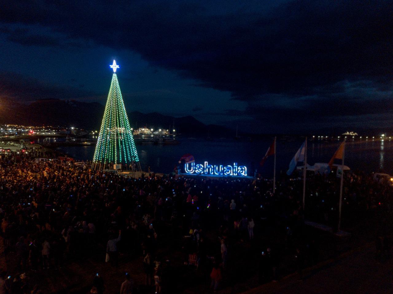ARBOL 1
