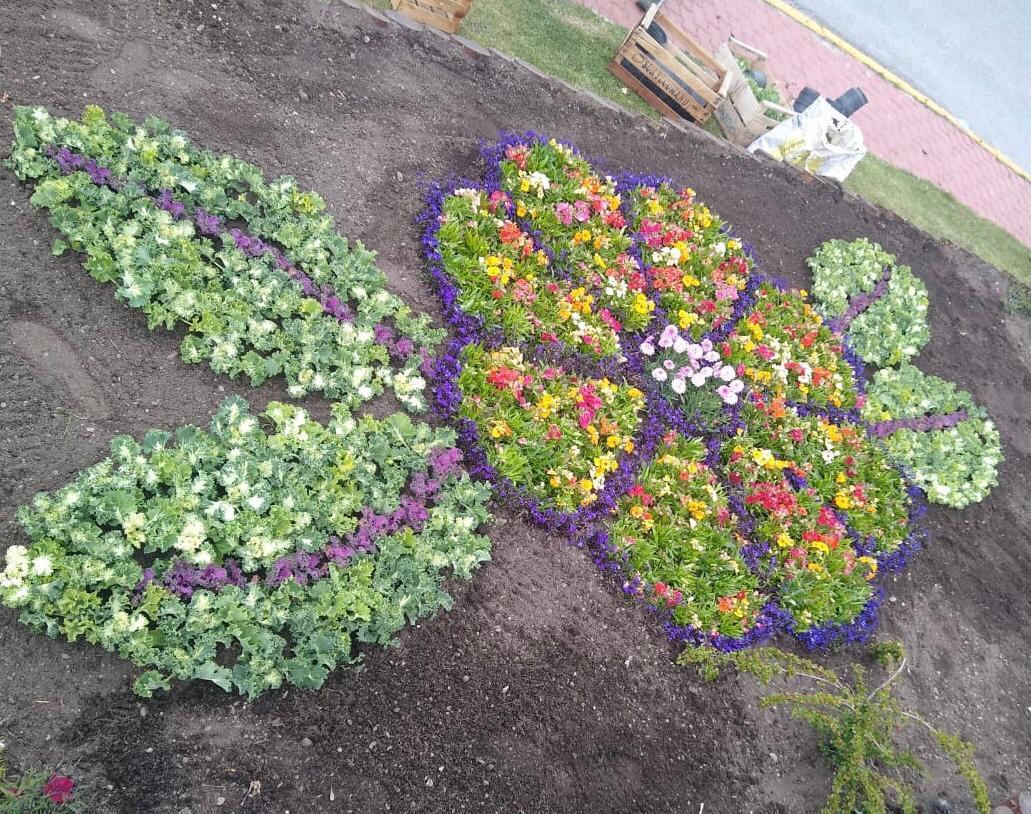 5fff504da55fa1d25ba0486e