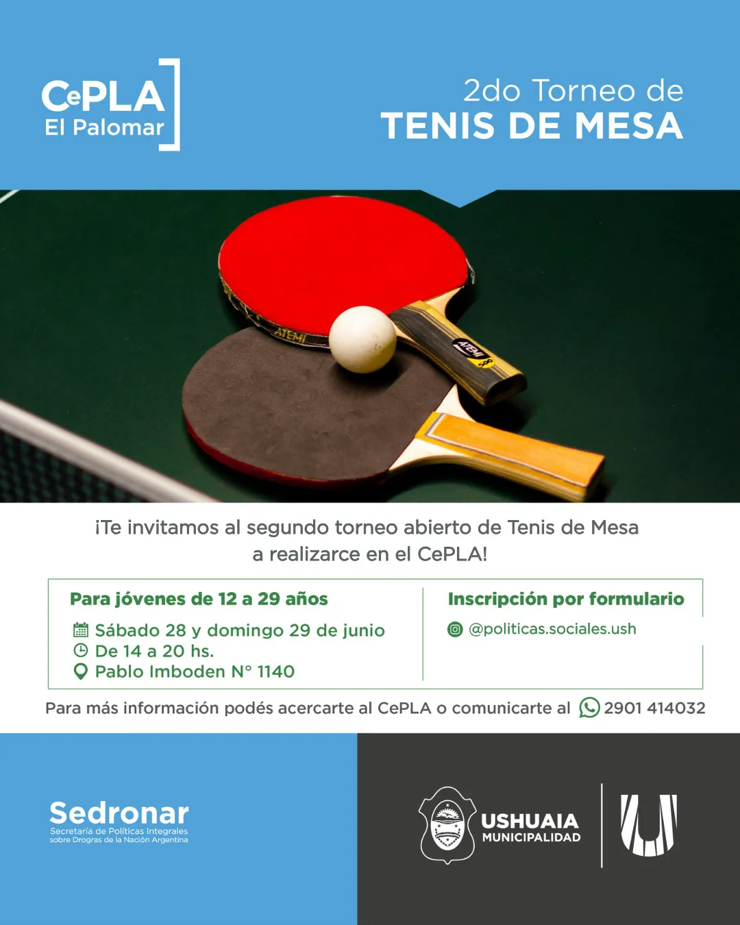 tenis