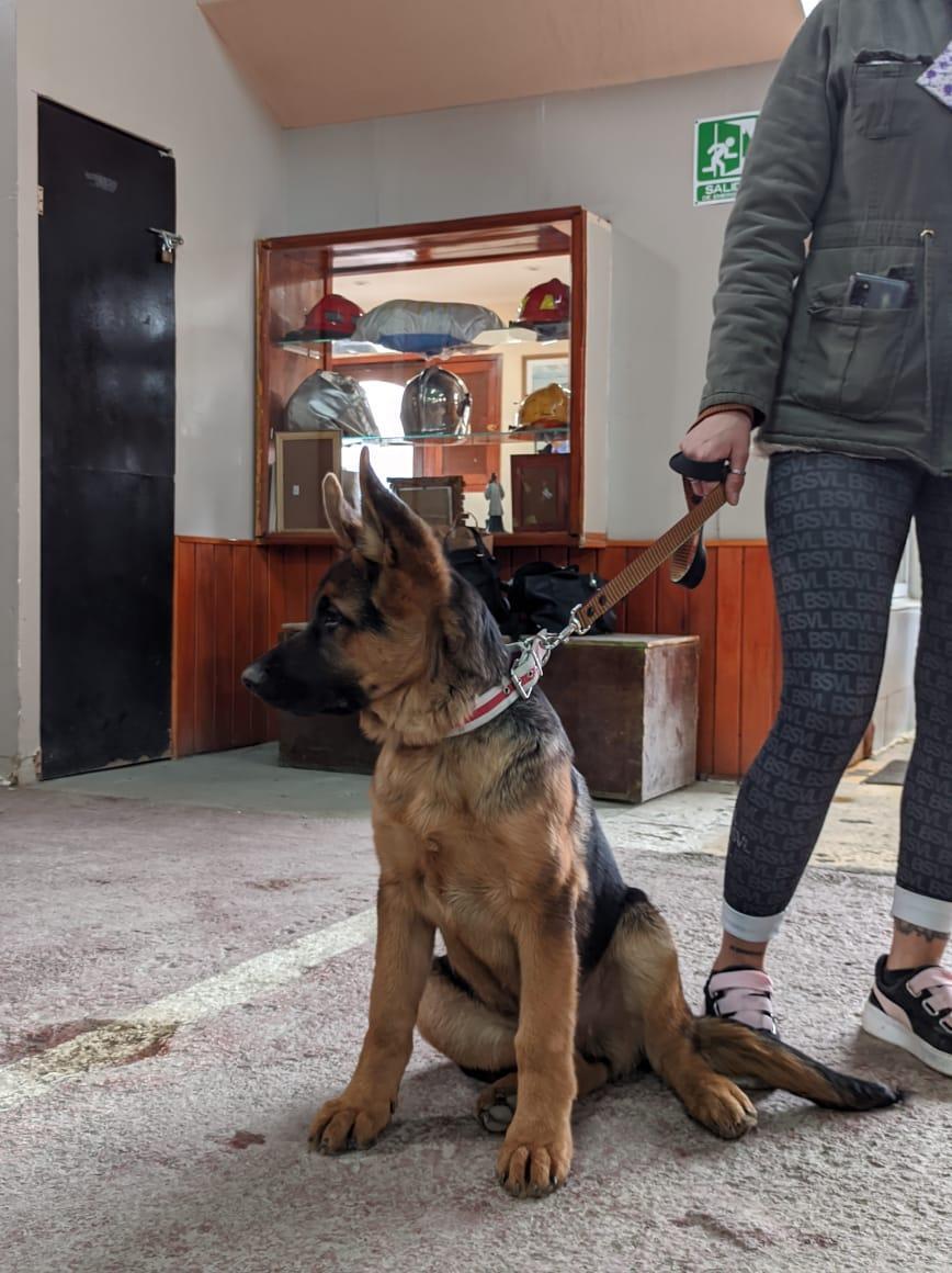 613beb9498eb72e5620c1fda