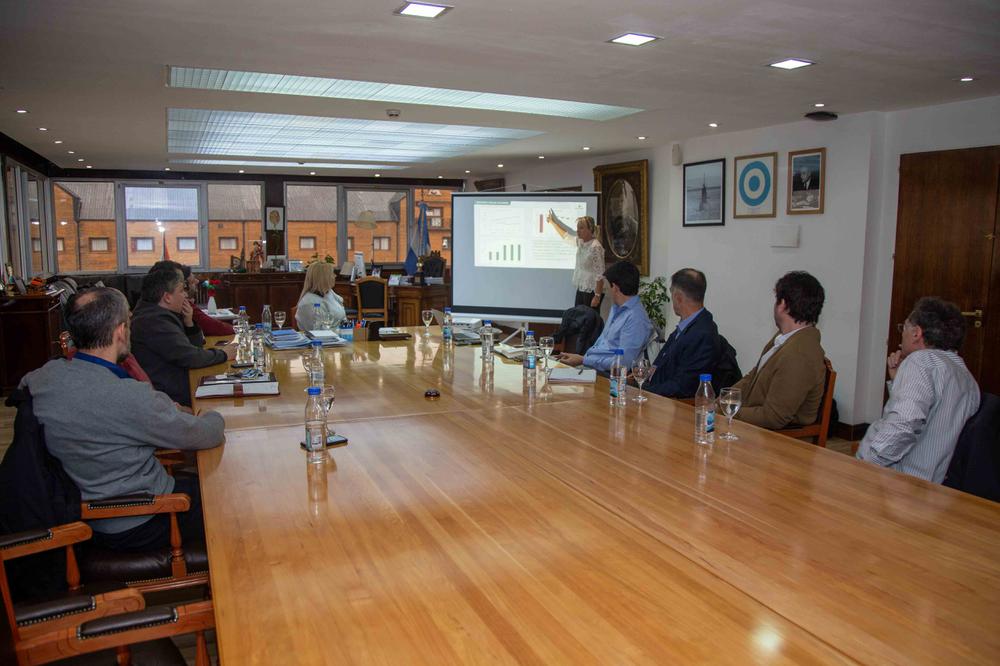 02 - REUNIÓN CON WARTSILA (2)