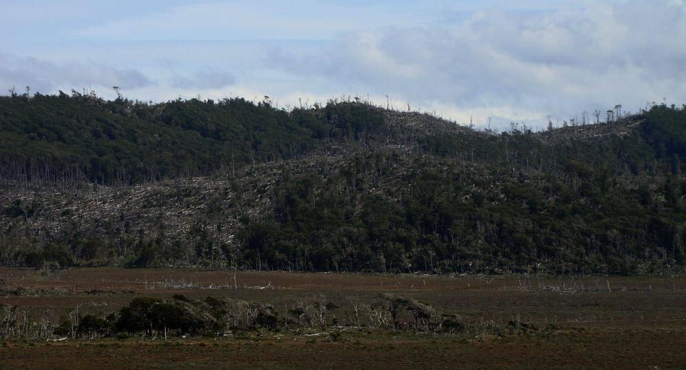 41764E27-B302-4A4B-9C7B-D6BD8E203066