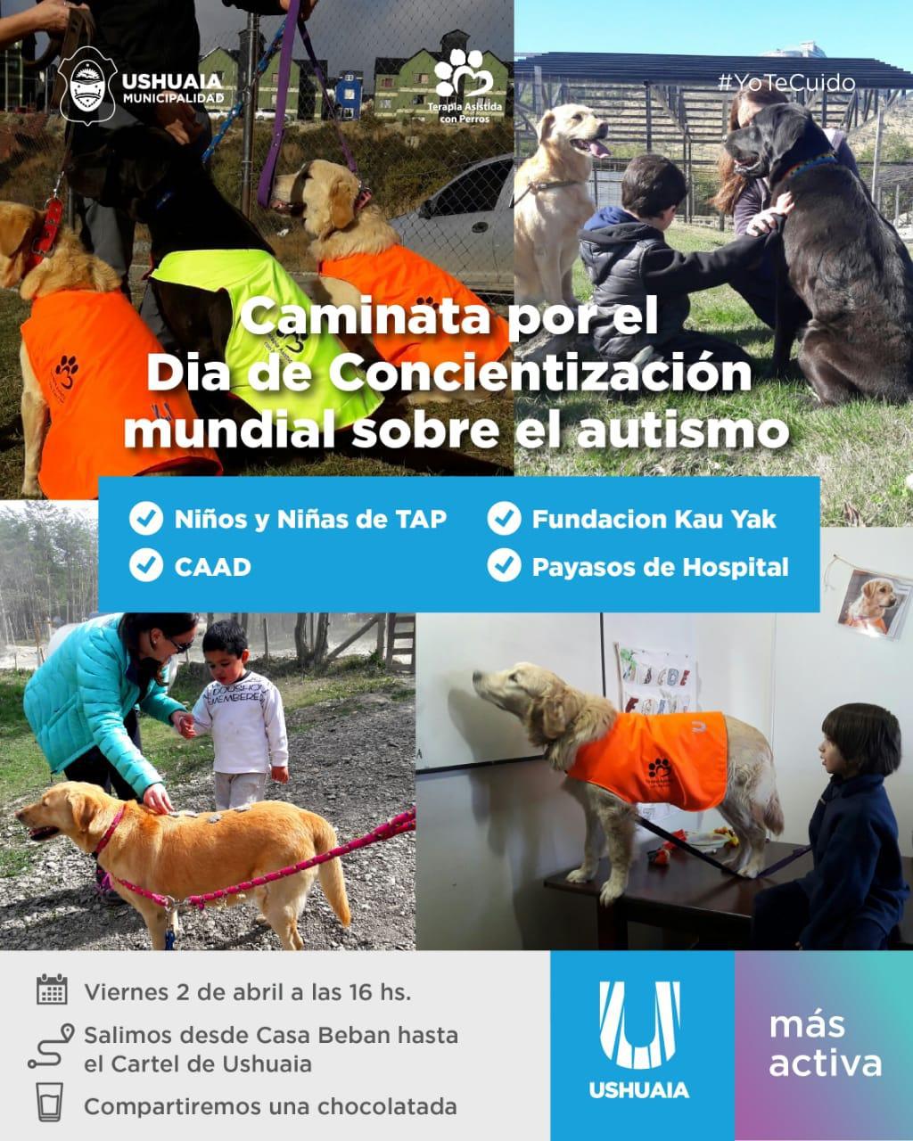 6064e6fe977c742356cffda1