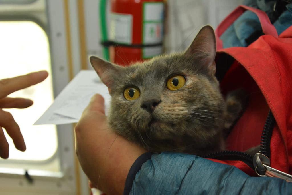 IMG_20211029_233510_047