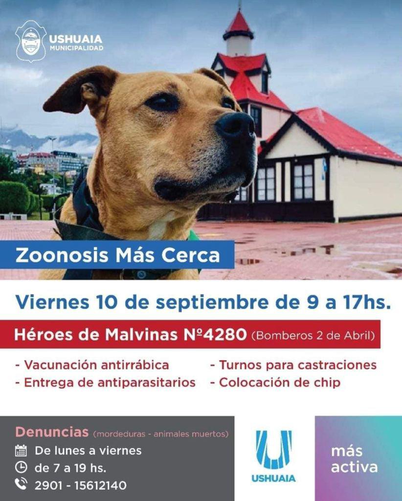 zoonosis