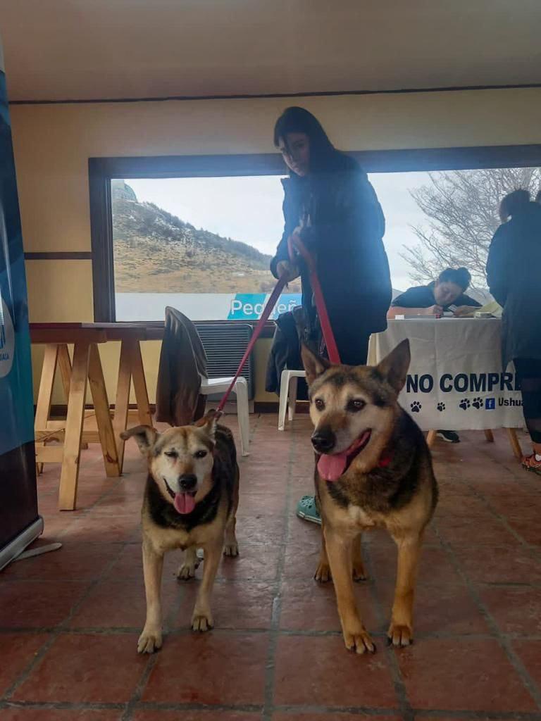 03622009-D66D-4E5D-8CB9-806EE6F12090