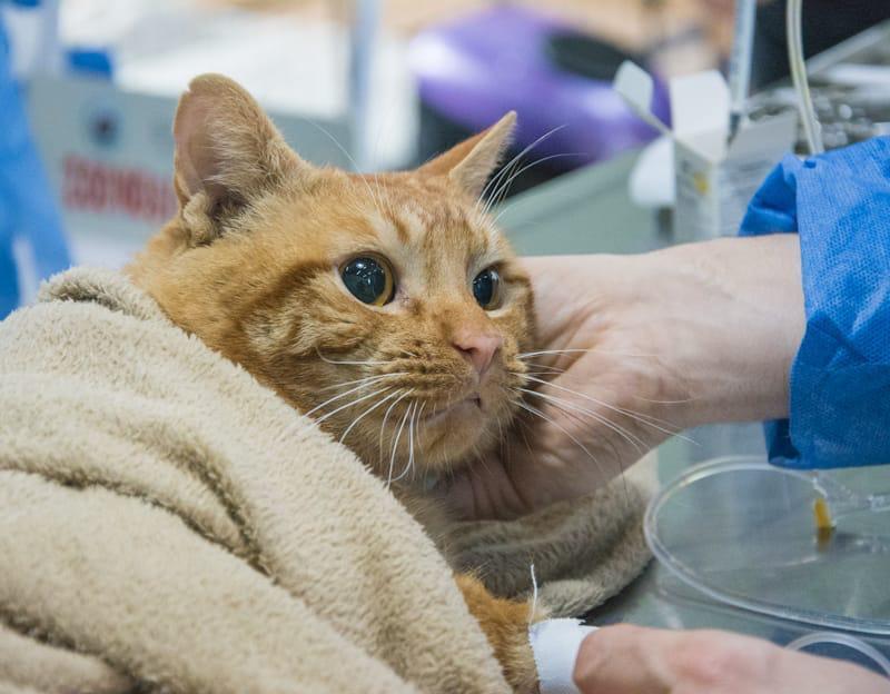 61047438cc3c749e42d38c99