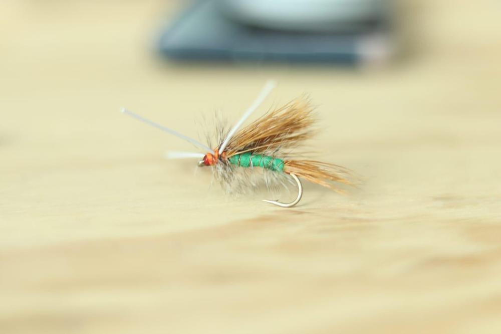 mosca 1