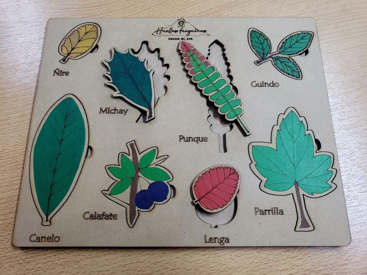 60f056161d05761053d0dc6c