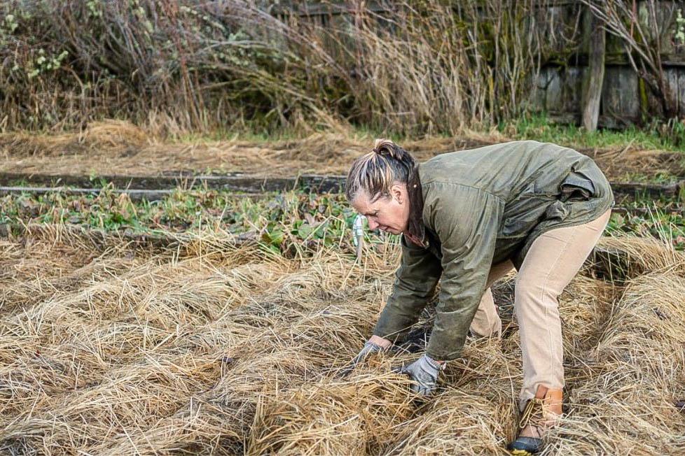 01cd6c4c-293c-4fb5-8fd3-29500e5dfe15