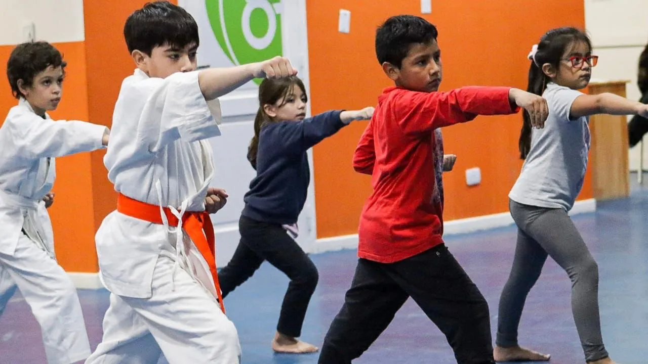 93f4c540-cbef-476f-beff-887d33e75356